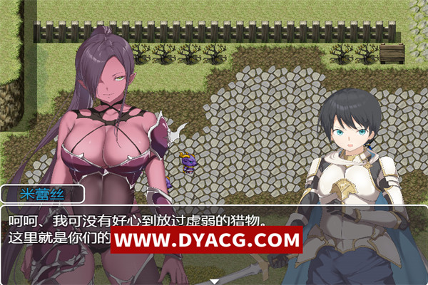 图片[2]-【RPG/汉化】零耐H勇者~拯救世界前被姐姐们玩到绝顶 (耐杏ゼロ勇者～世界を救う前にお姉さんたちに絶頂～) 汉化版【PC电脑+安卓/520M】-ACG次元社-单机游戏-电脑游戏、手机游戏下载
