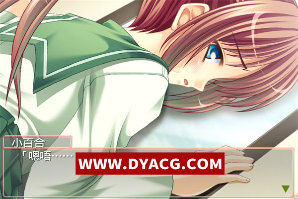 图片[5]-【ADV/拔作/汉化】妹妹怀孕特别授课(校内えっち 妹孕ませ特別授業) 汉化版+全CG解锁【PC/265M】-ACG次元社-单机游戏-电脑游戏、手机游戏下载