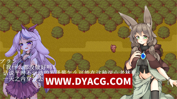 图片[4]-【RPG/机翻汉化】Vorpal 兔尾巴（ヴォーパル・バニーテール & Vorpal Bunny-Tail）挂载AI汉化版【PC/970M】-ACG次元社-单机游戏-电脑游戏、手机游戏下载