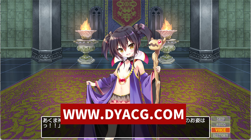 图片[2]-【经营SLG/生肉】信长之野望H版：龙王酱之野望！Ver.2.01 日文原版【PC/3.57G】-ACG次元社-单机游戏-电脑游戏、手机游戏下载