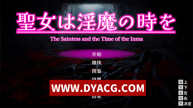 【ACT/官中/动态】圣女堕为银魔之时 V1.10 官方中文版【PC/1.58G】